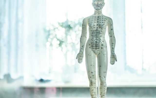 Osteopati Skanderborg